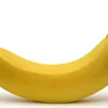 vitalikbus