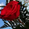 qetp_565