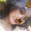 vilona.pracestha02