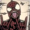 the_aussie_spider