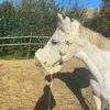 serenouuuuuu