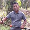 purwanto5887