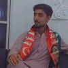 bacha.pti804