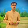 shabir.khan334