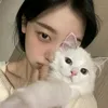 stanloonaandredebuts1