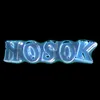 nosokeditor