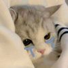fsyy_yaa