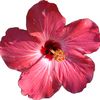 nona.mohamed179