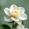 tatiana.rezende54