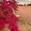 user2114810723027