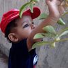 eman.aamir16