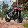 gato29076