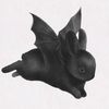 allblackbunny