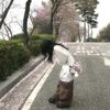 duq_77i