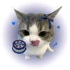 phansa_cheer