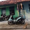 natehh4