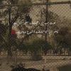 syedarani169