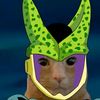 elyili0