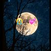 real__cinderella