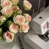narcissus_.rose