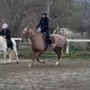 deni_davitti2