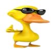 the.duck.story6