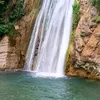 dali_5556