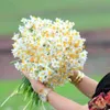 shamia8383600