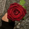 user44573703083882