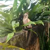 rosangela.ribeiro256