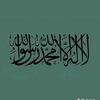 habib.bn.gbeer