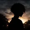 adam_harki1