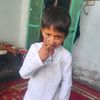 sulman786398