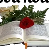 cristiane.lima782