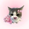 Sweetly♡🎀