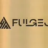 fulgeo_inc
