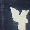 .skin4ndb0nez