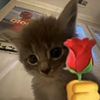 fioo_1312
