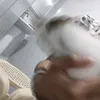 sammy___0___0___