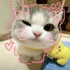 quinlamz._