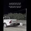 mazn_____711