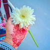 usermayamaya55