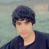 amer.wali.zearmal