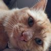 baby_oyen2