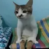 vaicalonluon00
