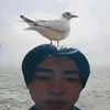 ignorathehaters4