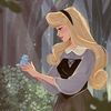 sofia.ibrahim488