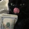 nbmoney.film