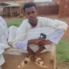 alshik.alnore0.511.shtt