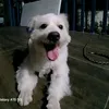 philzeke_